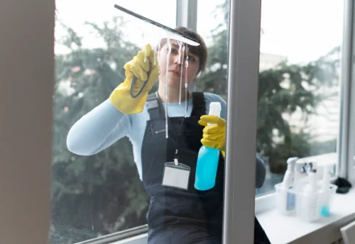 Nettoyage de vitres intérieures et extérieures à Trois-Palis